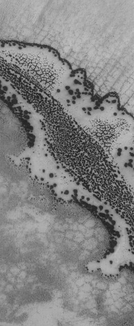 The Defrosting South