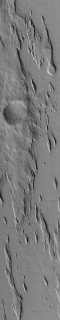 NASA image: Amazonis Yardangs