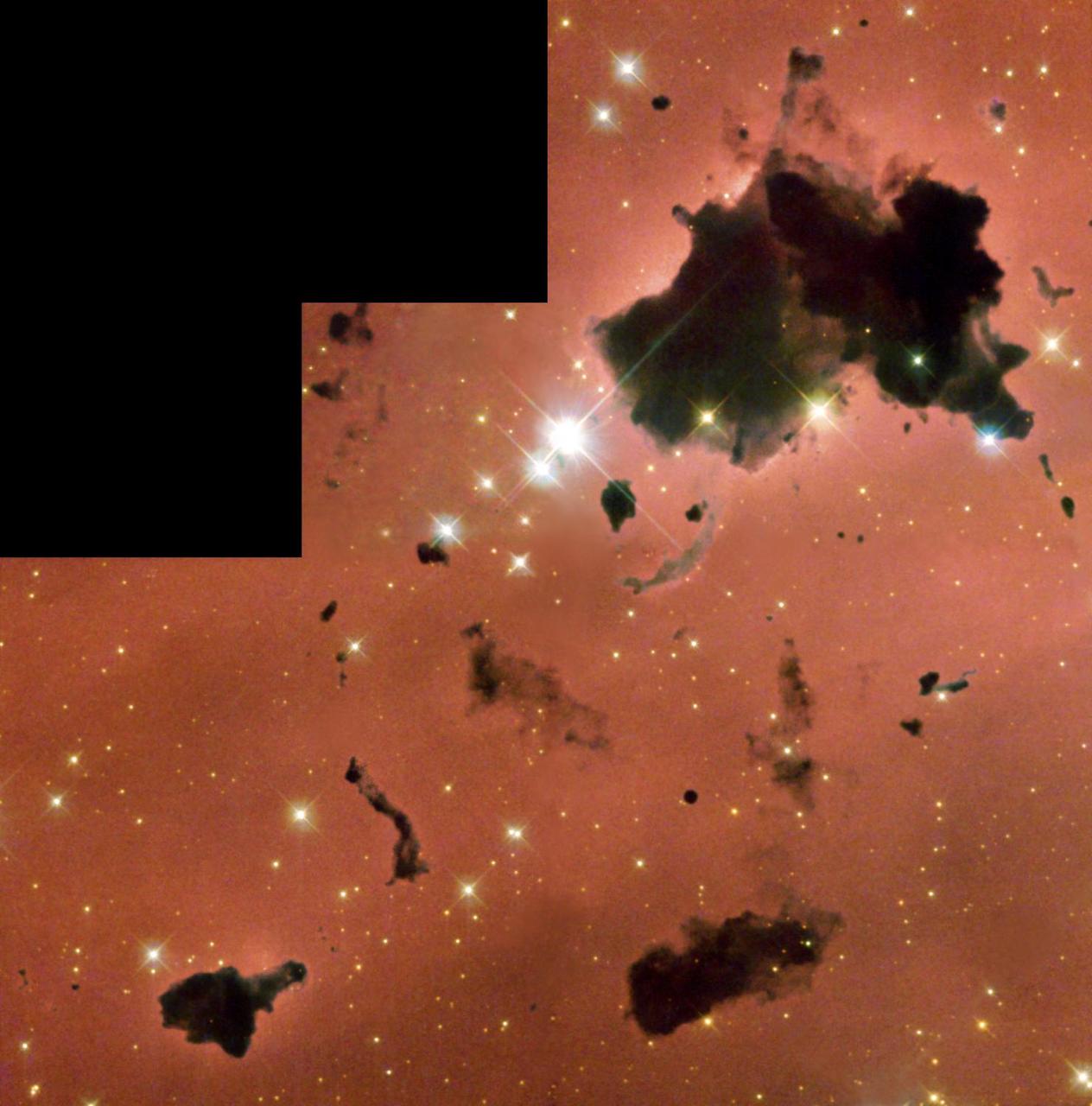 Strangely glowing, floating dark clouds are silhouetted against nearby bright stars in a busy star-forming region viewed by NASA Hubble Space Telescope