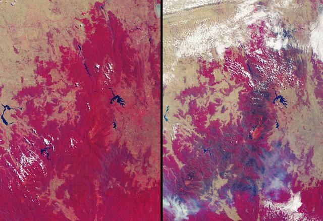 More than 2 million acres were consumed by hundreds of fires between December 2002 and February 2003 in southeastern Australia national parks, forests, foothills and city suburbs as seen by NASA Terra spacecraft.