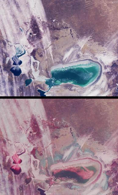 NASA image: Windswept Shores of the Aral Sea