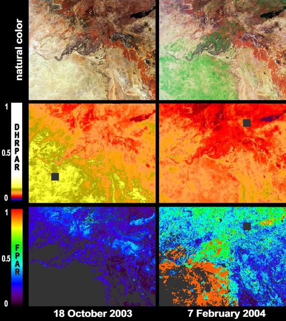 NASA image: Greener Pastures in Northern Queensland, Australia