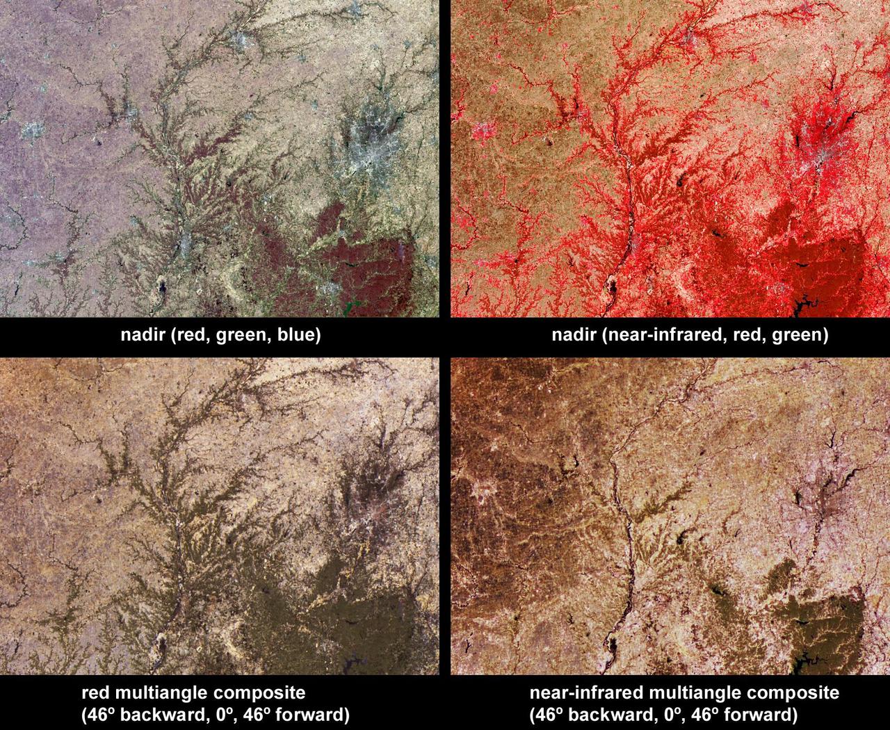 Vegetation across southeast Illinois and central Indiana is shown in this set of multispectral and multiangle images from NASA Terra spacecraft, captured on April 5, 2004.