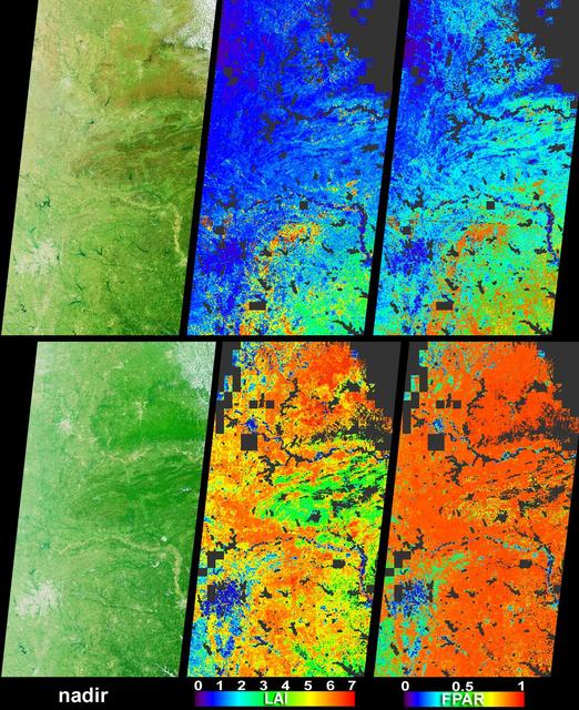 NASA image: April Showers Bring May Flowers to the Southern United States
