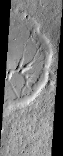 In this NASA Mars Odyssey image of eastern Arabia Terra, remnants of a once vast layered terrain are evident as isolated buttes, mesas, and deeply-filled craters.  The origin of the presumed sediments that created the layers is unknown, but those same sediments, now eroded, may be the source of the thick mantle of dust that covers much of Arabia Terra today.  http://photojournal.jpl.nasa.gov/catalog/PIA04400