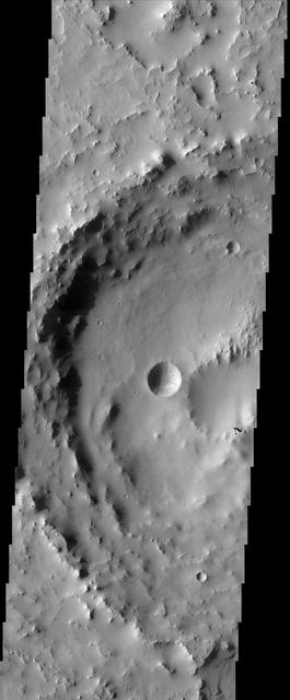 Accumulations of thick dust give way down slopes, crater walls, and other steep terrain in this image from NASA Mars Odyssey, leaving the dark streaks that are common in the dusty region of Arabia Terra.