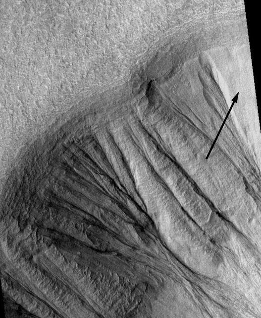 Gullies on Martian Crater MOC