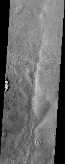 The long sharp-crested features observed in this image from NASA Mars Odyssey spacecraft are named yardangs. Yardangs form by wind erosion and typically lie in the direction of the dominant wind.