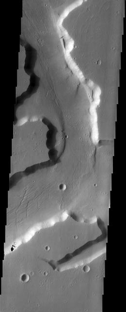 This image from NASA Mars Odyssey spacecraft shows grooves within channels of Kasei Valles that can be interpreted as evidence for fluvial activity.