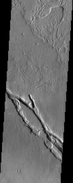 NASA image: Hrad Vallis