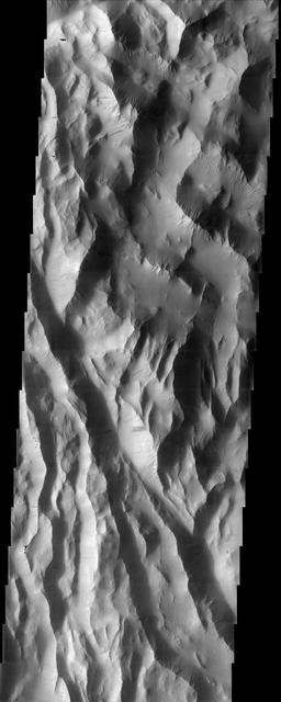 This NASA Mars Odyssey image shows Lycus Sulci, a region of ridges and hills located north-northwest of the volcano Olympus Mons. Several dust avalanches on the flanks of the roughly textured surfaces suggest a thick coating of fine-grained materials.