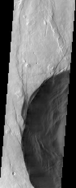 Pavonis Mons is the middle of the three large volcanoes on the Tharsis bulge. This image from NASA Mars Odyssey spacecraft covers the edge of the volcano caldera. Outside of the caldera, numerous lava flows and impact craters can be seen.