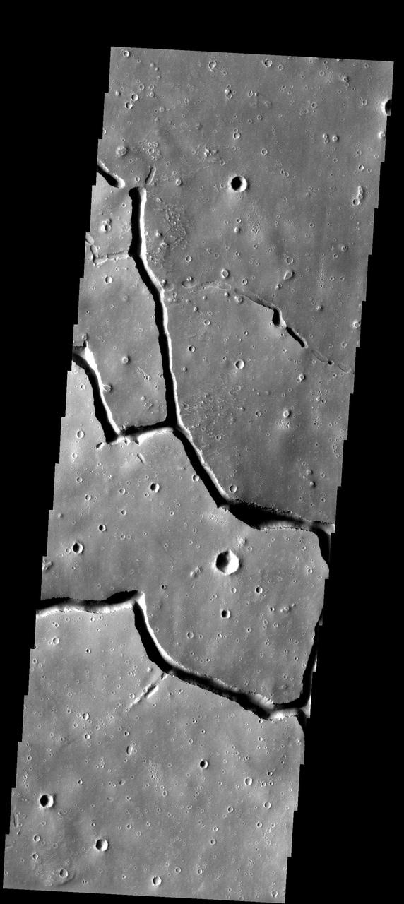 In this image from NASA Mars Odyssey spacecraft showing a location about 1,000 km 620 miles west of the massive Elysium volcanic complex, a system of branching troughs shows a continuum of features that provides clues to its origin.