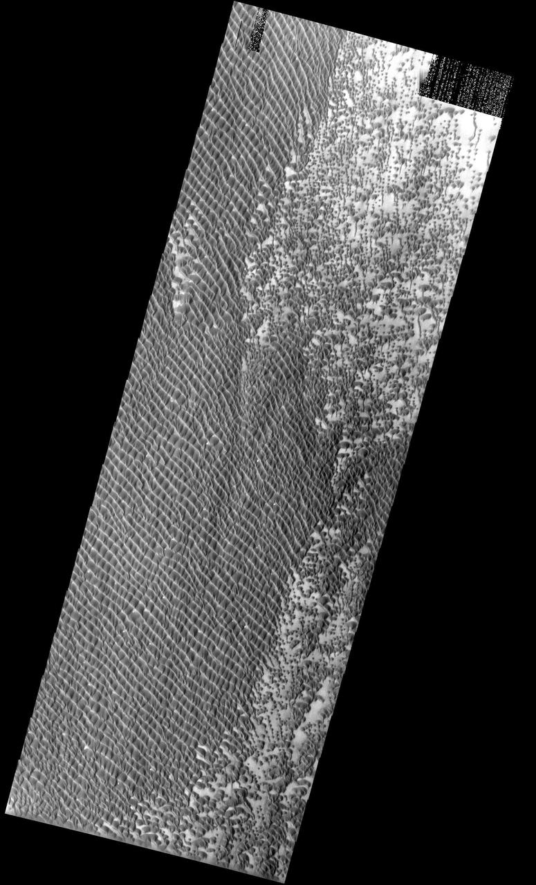This image from NASA Mars Odyssey spacecraft shows relatively dark coarse grained material forming individual dunes coalescing into a relatively uniform sand sheet.