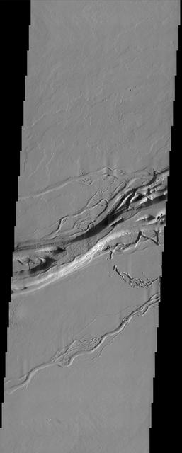 This image from NASA Mars Odyssey spacecraft shows the Olympica Fossae channel system located east of the Olympus Mons volcano in Tharsis. These anastomosing channels cut numerous lava flows indicating that the channels are younger than the lava flows.
