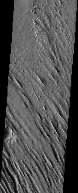 The Medusae Fossae formation, seen in this NASA Mars Odyssey image, is an enigmatic pile of eroding sediments that spans over 5,000 km 3,107 miles in discontinuous masses along the Martian equator.