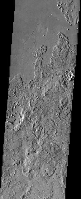 Lucus Planum
