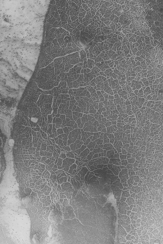 Polar Polygon Patterns