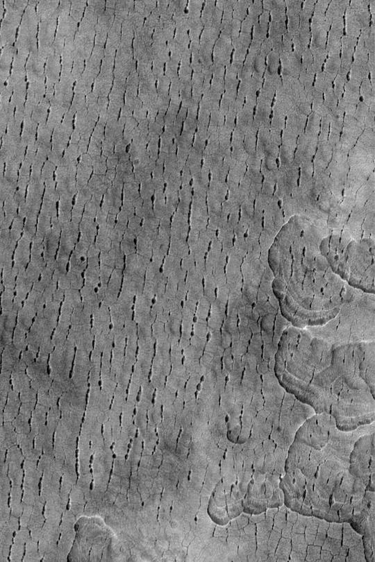 Utopia Cracks and Polygons