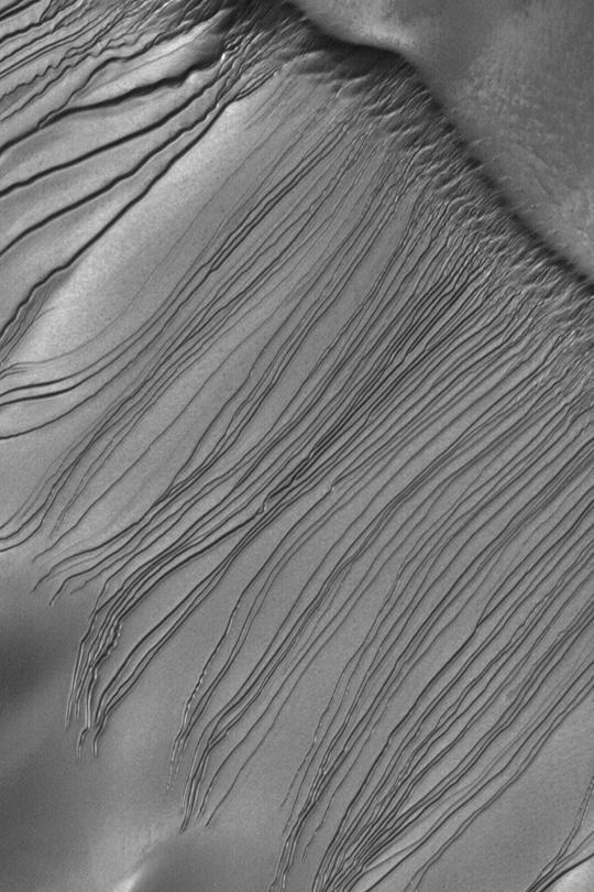 Russell Dune Gullies