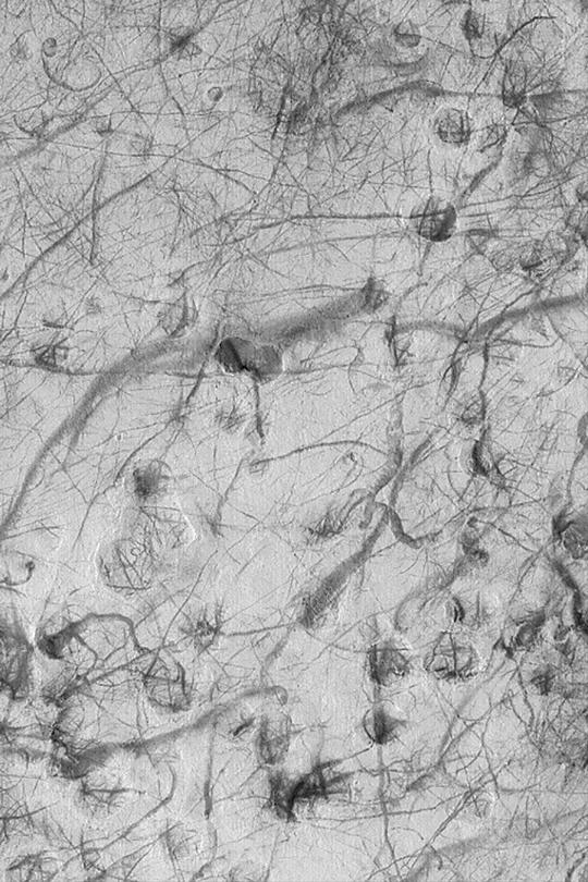 Martian Dust Devil Tracks