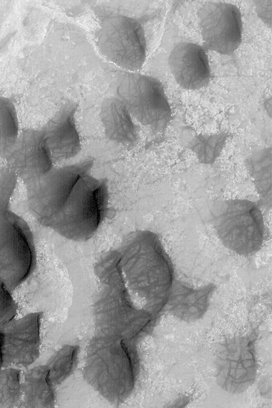 Dunes and Dust Devil Tracks