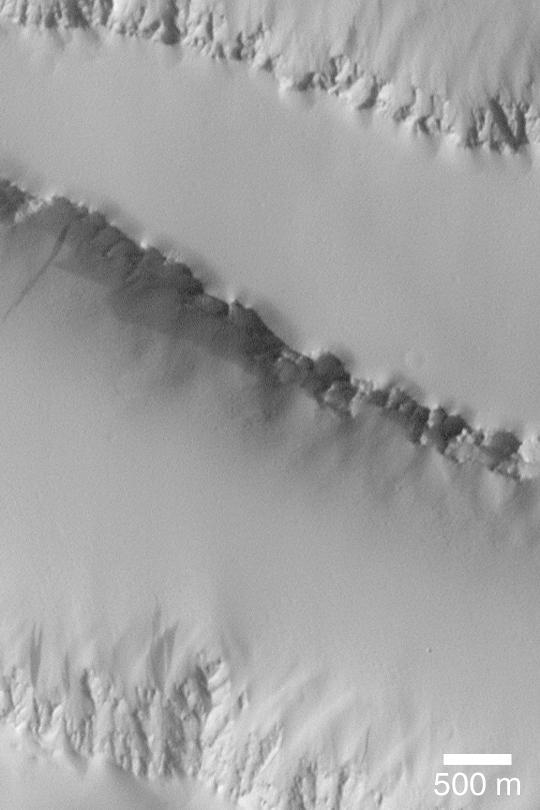 Dust Mantle Near Pavonis Mons