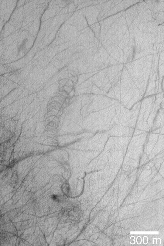 Cycloidal Dust Devil Track