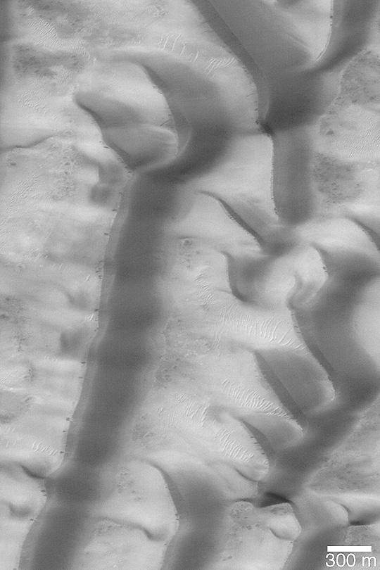 Richardson Dunes in Summer