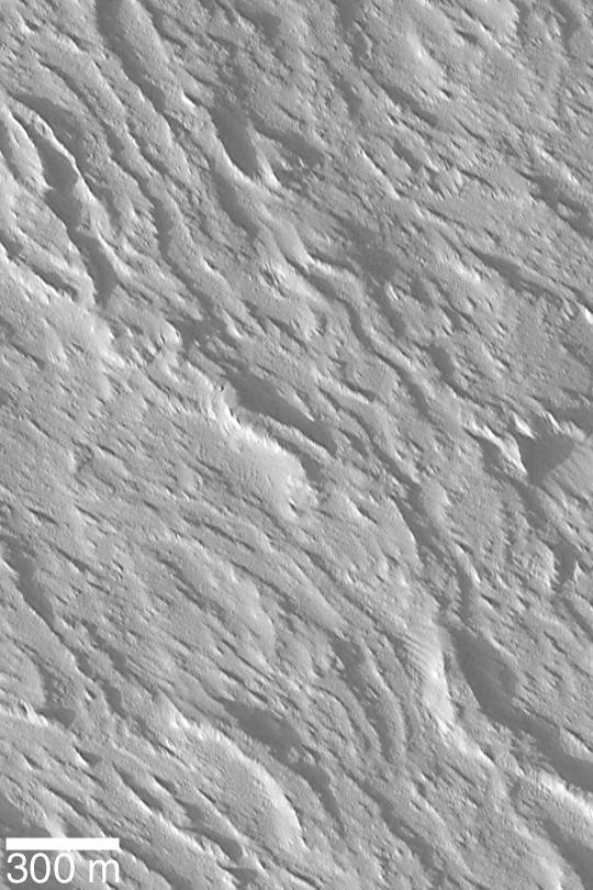 Flows on Olympus Mons