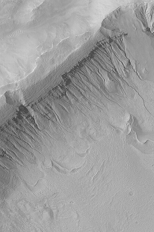 Gullies in Terra Sirenum