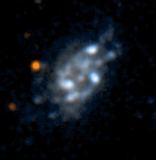 This ultraviolet color image of the galaxy UGC10445 was taken by NASA Galaxy Evolution Explorer on June 7 and June 14, 2003. UGC10445 is a spiral galaxy located 40 million light-years from Earth.  http://photojournal.jpl.nasa.gov/catalog/PIA04623