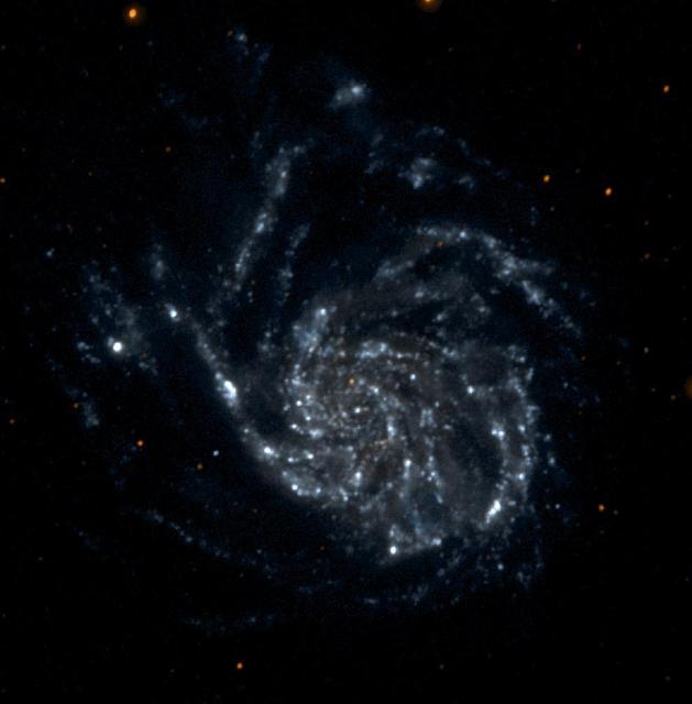 This single orbit exposure, ultraviolet color image of Messier 101 was taken by NASA's Galaxy Evolution Explorer on June 20, 2003. Messier 101 is a large spiral galaxy located 20 million light-years from Earth. This image is a short and medium "exposure" picture of the evolution of star formation in a spiral galaxy. The far ultraviolet emission detects the younger stars as concentrated in tight spiral arms, while the near ultraviolet emission, which traces stars living for more than 100 million years, displays the movement of the spiral pattern over a 100 million year period. The red stars in the foreground of the image are Milky Way stars.  http://photojournal.jpl.nasa.gov/catalog/PIA04632