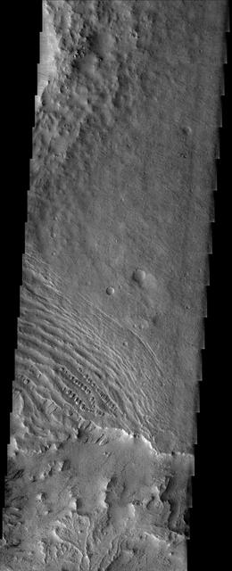 NASA image: Remnants of MFF