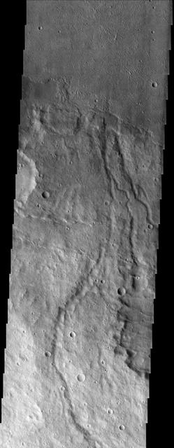 NASA image: Crenulated Lava Flows of Daedalia Planum