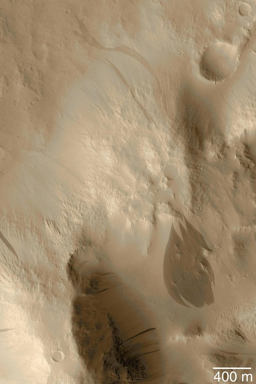 Dark Slope Streaks