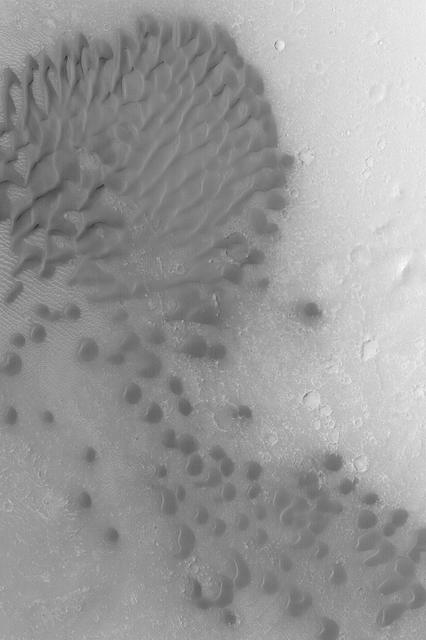 Intracrater Dune Field