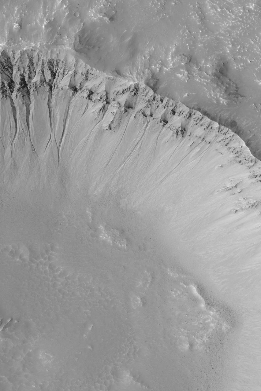 Martian Gullies