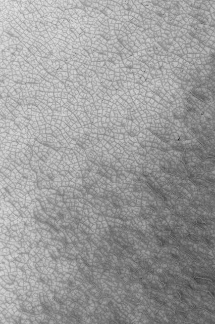 South Polar Polygons