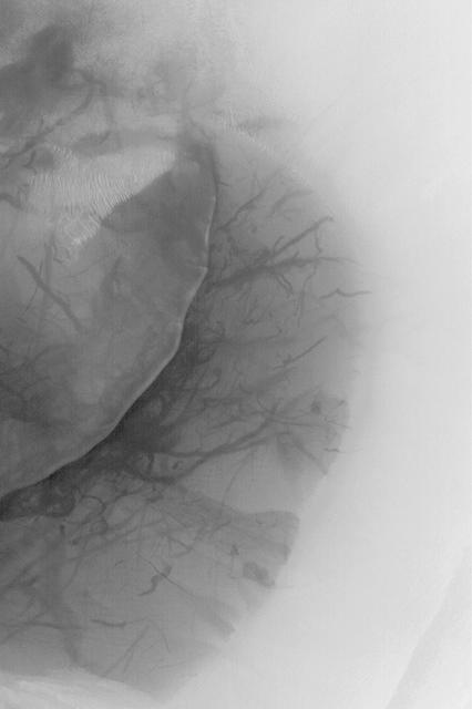 Dune and Dust Devil Streaks