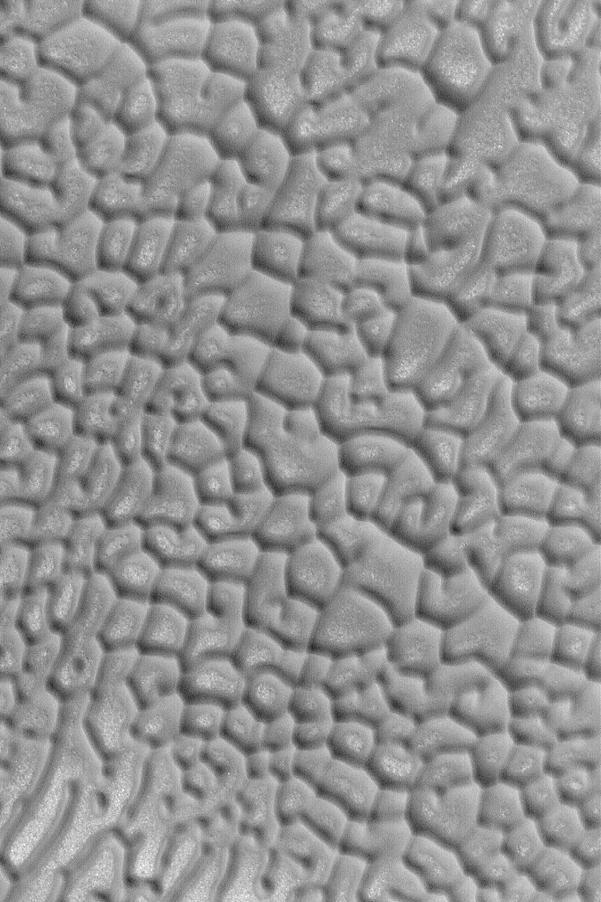 North Polar Dune Patterns