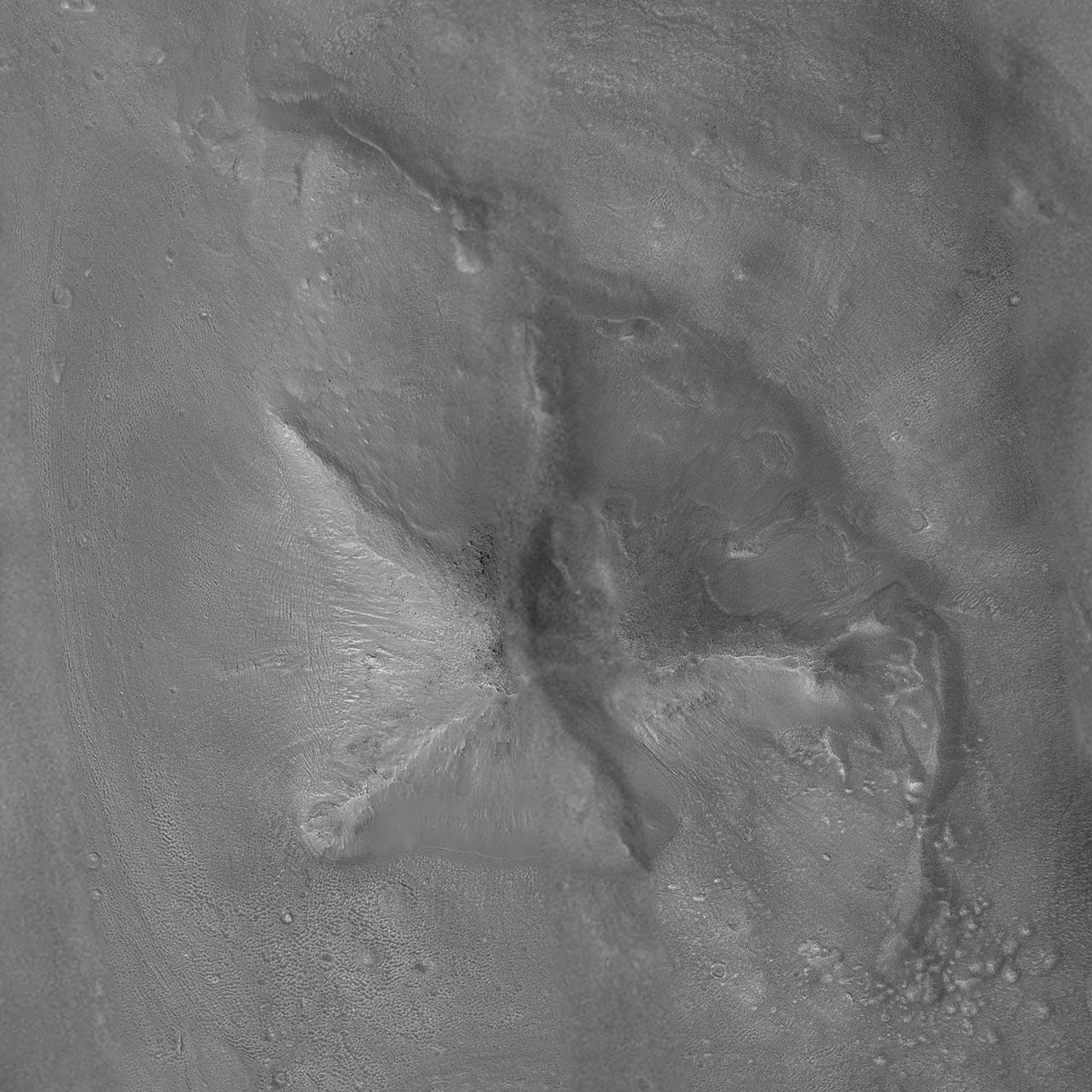 Images of the Cydonia region of Mars continue to be popular among visitors to the Mars Global Surveyor (MGS) Mars Orbiter Camera (MOC)web site. The two pictures (one annotated, the other not) are mosaics of two images from MGS MOC and one from the Mars Odyssey Thermal Emission Imaging System visible camera (THEMIS VIS). The mosaics highlight a Cydonia landform popularly known as the "D&M Pyramid." It is located near 40.7°N, 9.6°W. Although it is not really shaped like a pyramid, the Cydonia landform is one of thousands of massifs, buttes, mesas, knobs, and blocks that mark the transition from the far northwestern Arabia Terra cratered highlands down to the northeastern Acidalia Planitia lowlands. Each block, whether shaped like a face, a pyramid, or simply a mesa, massif, or knob, is a remnant of the bedrock of northeastern Arabia that was left behind as erosion slowly degraded the terrain along this zone between the highlands and the lowlands. A few outcroppings of layers in this ancient bedrock can be seen in the mosaic of the pyramid-like landform shown here; much of the landform is covered with eroded mantling material that was deposited long after this highlands remnant became an isolated feature in Cydonia. The mosaic was created from two MOC images obtained in June (R06-00469) and July (R07-00422) of 2003 and one THEMIS VIS image acquired in 2002 (V01024003). The mosaic is 8 km by 8 km (5 mi by 5 mi) across and each of the three images is illuminated from the lower left. North is up. The picture on the right shows the location of the two MOC images as black outlines; the THEMIS image not only covers the gap between the two MOC images, it also fills out the lower left and upper right corners. http://photojournal.jpl.nasa.gov/catalog/PIA04745