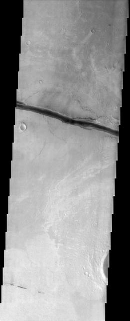 Cerberus Fossae