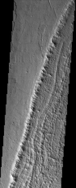 Pavonis Mons Aureole