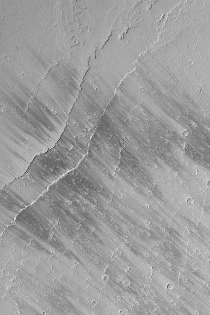 Tharsis Wind Streaks