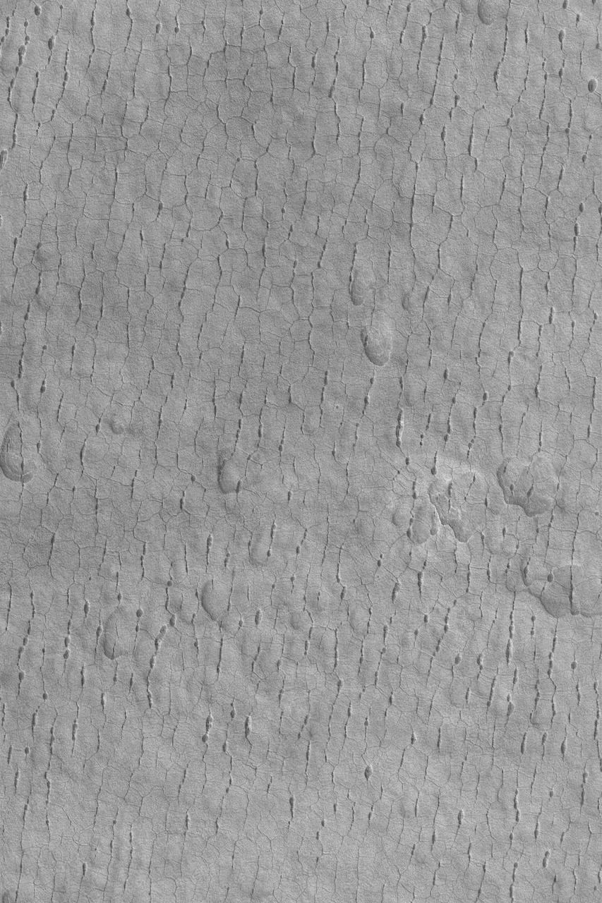 Cracked and Pitted Plain