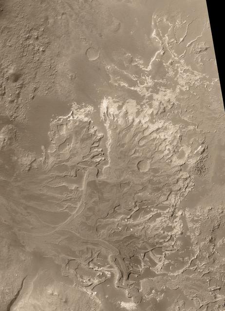 NASA image: Distributory Fan Near Holden Crater