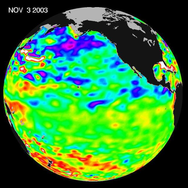 Some climate forecast models indicate there is an above average chance that there could be a weak to borderline El Niño by the end of November 2003. However, the trade winds, blowing from east to west across the equatorial Pacific Ocean, remain strong. Thus, there remains some uncertainty among climate scientists as to whether the warm temperature anomaly will form again this year. The latest remote sensing data from NASA's Jason satellite show near normal conditions across the equatorial Pacific. There are currently no visible signs in sea surface height of an impending El Niño.  This equatorial quiet contrasts with the Bering Sea, Gulf of Alaska and U.S. West Coast where lower-than-normal sea surface levels and cool ocean temperatures continue (indicated by blue and purple areas).  The image above is a global map of sea surface height, accurate to within 30 millimeters. The image represents data collected and composited over a 10-day period, ending on Nov. 3, 2003. The height of the water relates to the temperature of the water. As the ocean warms, its level rises; and as it cools, its level falls. Yellow and red areas indicate where the waters are relatively warmer and have expanded above sea level, green indicates near normal sea level, and blue and purple areas show where the waters are relatively colder and the surface is lower than sea level. The blue areas are between 5 and 13 centimeters (2 and 5 inches) below normal, whereas the purple areas range from 14 to 18 centimeters (6 to 7 inches) below normal.  http://photojournal.jpl.nasa.gov/catalog/PIA04878