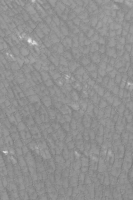 Cracked South Polar Plain