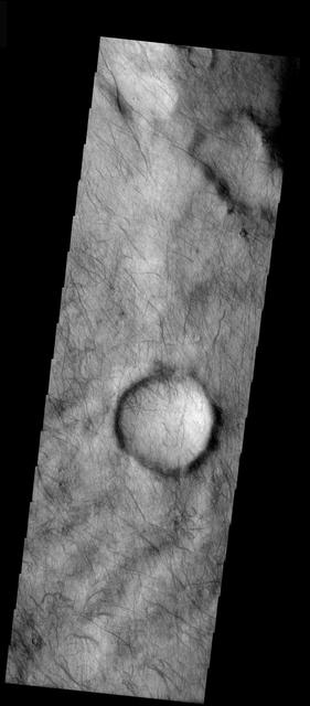 NASA image: Dust Devils